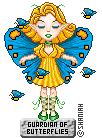Butterfly Butterfly