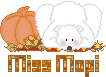 L'ours à la citrouille L'ours à la citrouille