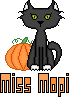 Chat d'Halloween Chat d'Halloween