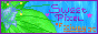 Sweet Pixel