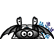 f?e noire