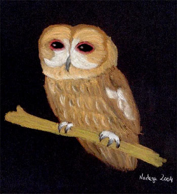 Chouette au pastel