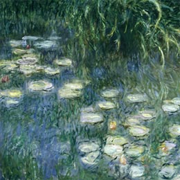 Les Nympheas de Monet