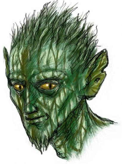 Imago : La sombre forêt / Mandragor