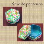 Rêve de printemps