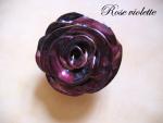 Rose Violette