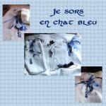 Je sors en chat bleu