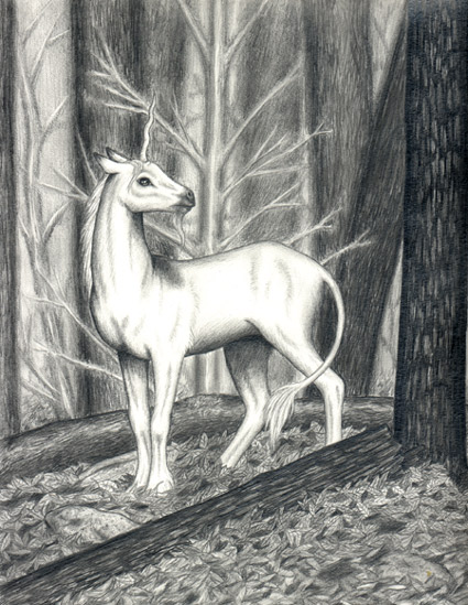 Forest Unicorn Forest Unicorn