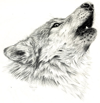 Wolf Song