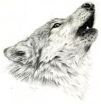 Wolf Song
