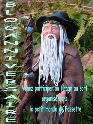 Joyeux bloganniversaire Fossette!